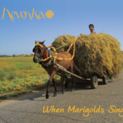 NEVENKA Marigold CD cover