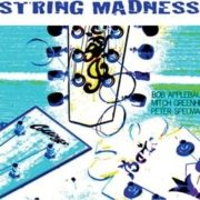String Madness|STRING-MADNESS-CD-COVER-275